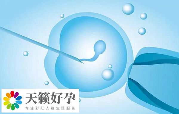 過于肥胖會影響試管嬰兒成功率