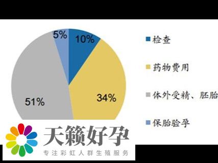 試管嬰兒費用構成