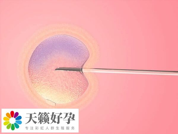 醫院試管嬰兒成功率