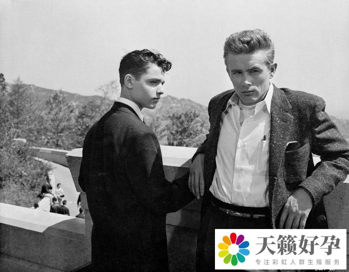 同性戀傳記片將拍攝！