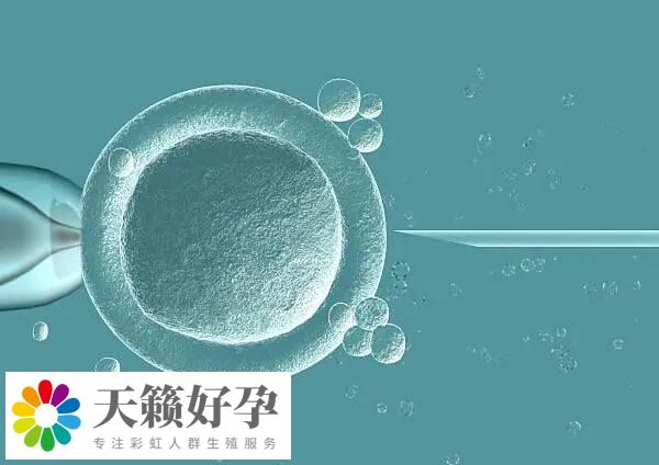 中山六院試管成功率在55%左右