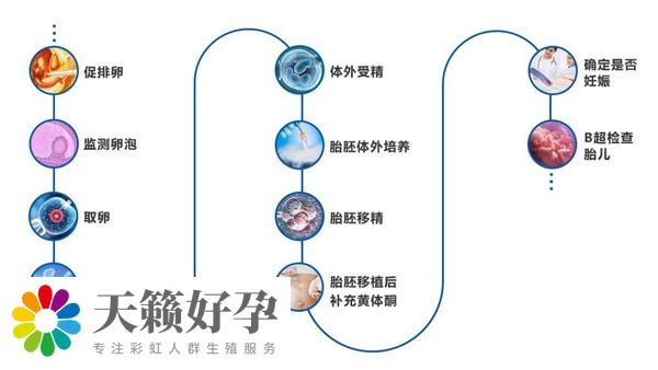 醫(yī)院試管嬰兒流程
