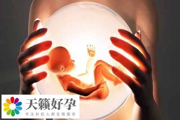 手術方案是影響試管嬰兒成功率的因素之一