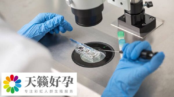 子宮內環境會影響試管嬰兒成功率