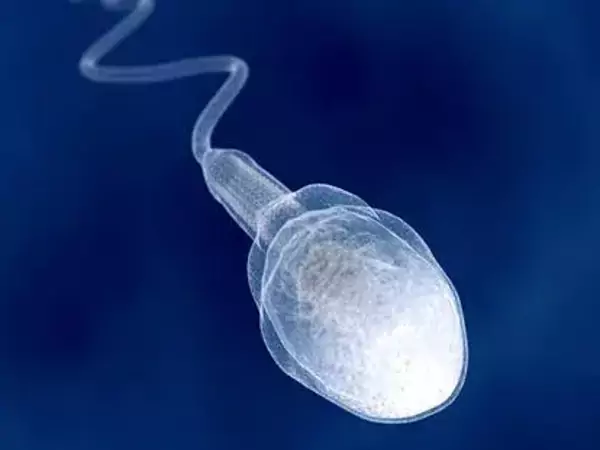 醫(yī)院試管嬰兒成功率達(dá)50左右%