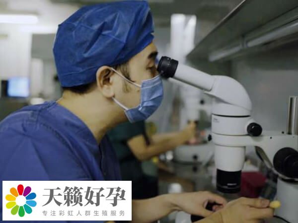 徐州市婦保院試管費用