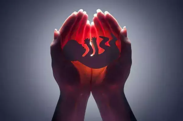 浙江省婦保醫(yī)院試管嬰兒費用