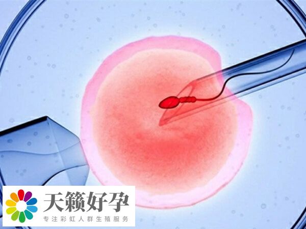 提高試管成功率的方法