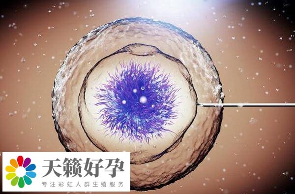 36-37歲女性試管移植妊娠率為50%左右