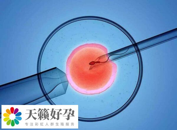 試管成功率受年齡影響