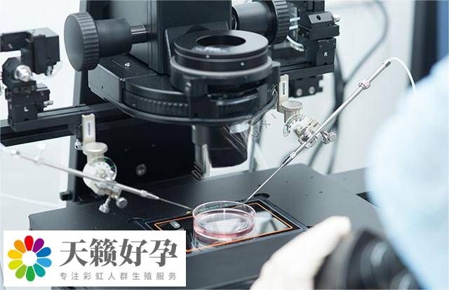 生殖醫(yī)院醫(yī)學(xué)設(shè)備