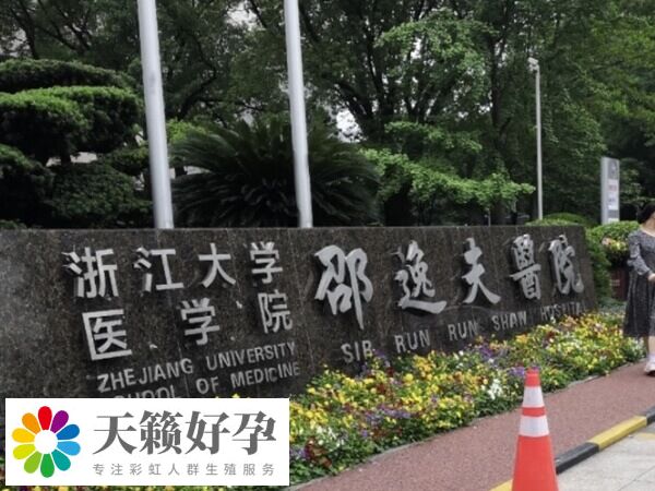 高齡二代試管成功率多少