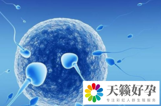 35歲男性精子的正常標準形態率3%可以做試管嗎？