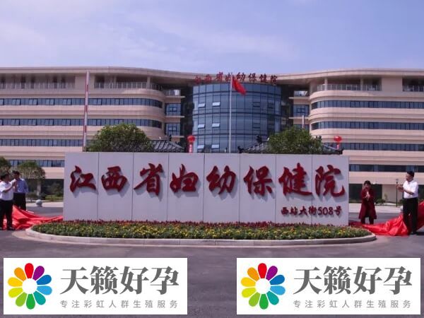 南昌供卵試管嬰兒機構分享，一讀便知東湖區有幾家！