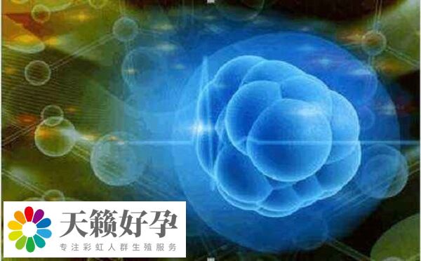 人工周期和自然周期哪個好