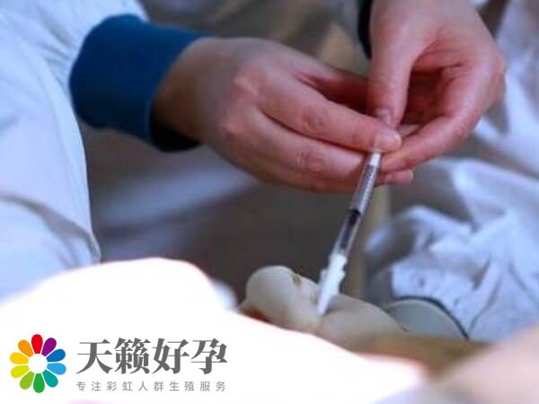 黃體藥物會引起屁多