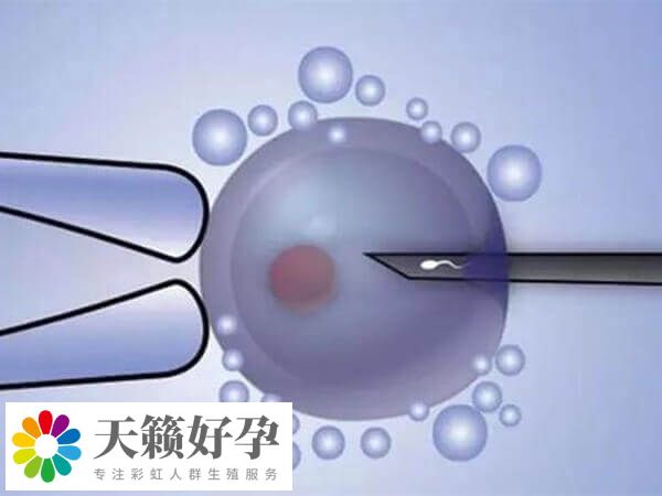 養囊有一定優勢