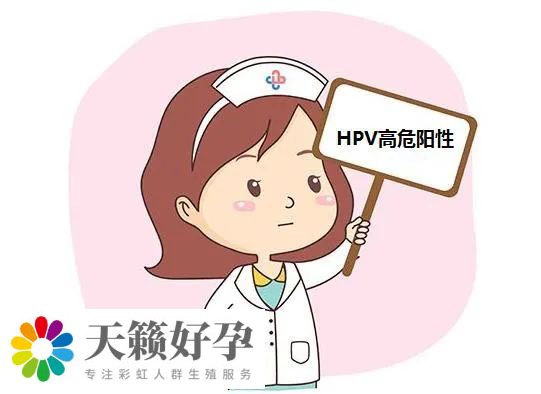 HPV感染可影響男性精子，導致男性不孕