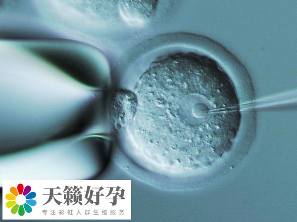 胚胎著床時間通常為7-14天