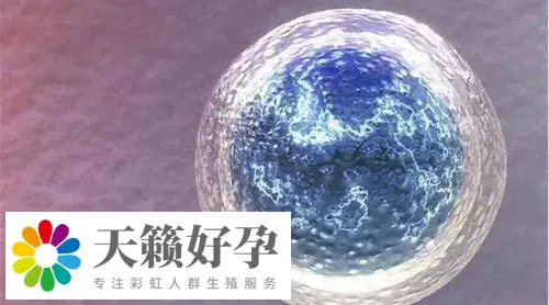 助孕機構做三代試管產子多少錢,費用清單新鮮出爐