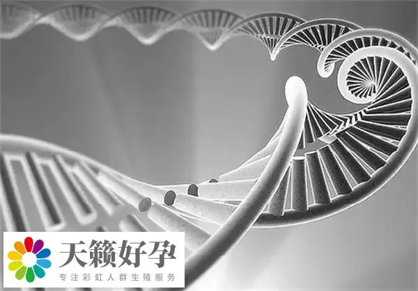 倆個(gè)女人做試管能懷孕嗎?附女同廣州供精三代試管費(fèi)用介紹