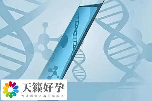 倆個(gè)女人做試管能懷孕嗎?附女同廣州供精三代試管費(fèi)用介紹