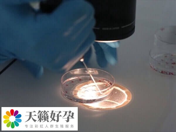 影響胚胎著床的因素多