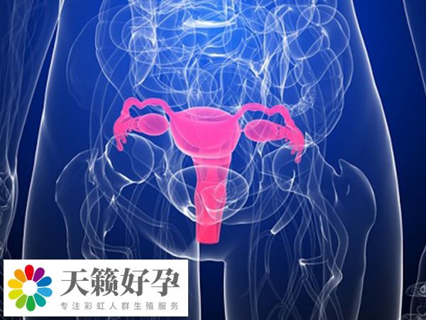 暖宮通常是指改善子宮內(nèi)環(huán)境的措施
