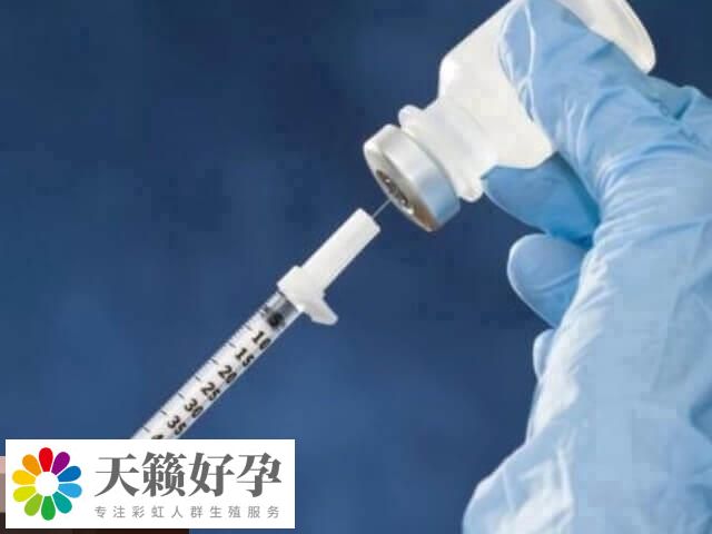 試管嬰兒促排方案對比，看完本篇就知選擇哪個效果好了