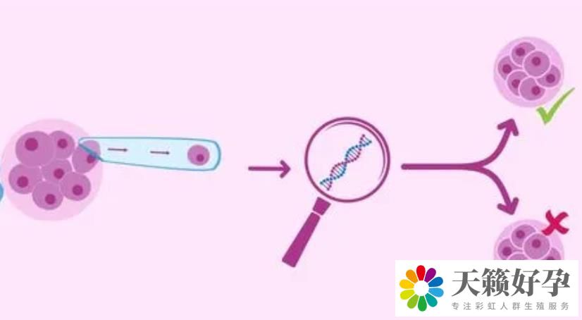 女人染色體有問(wèn)題可以通過(guò)做試管避免遺傳嗎