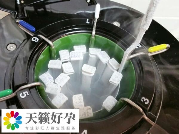 凍胚解凍復蘇率約90%