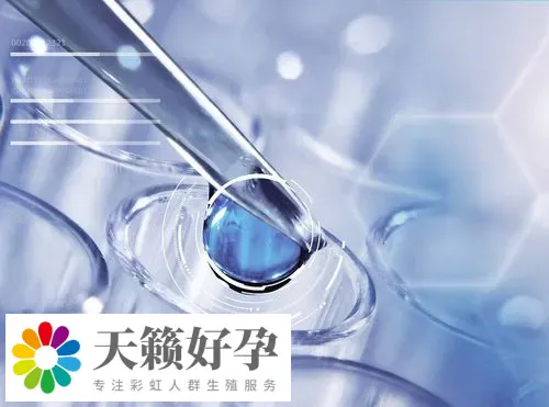 天津不孕不育醫院做三代試管嬰兒生子的成功率怎么樣?