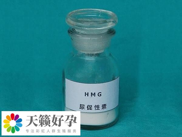 尿促性素可以促排卵