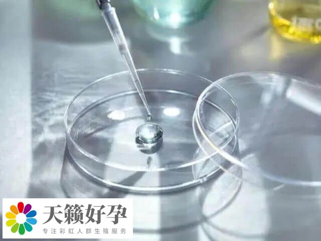 國外進(jìn)行凍卵收費大概在8-15萬元不等