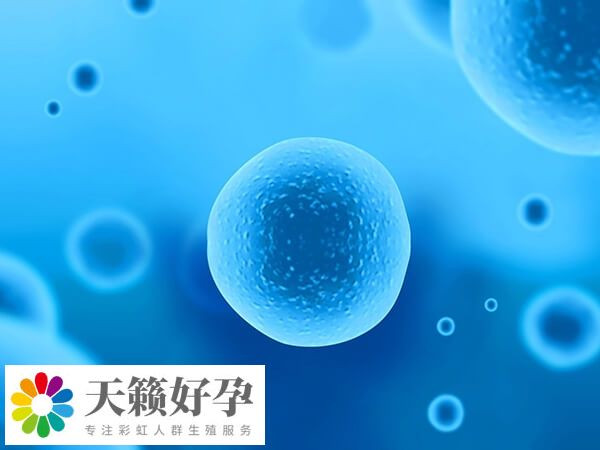 國內(nèi)可以實施試管嬰兒助孕的機構(gòu)很多