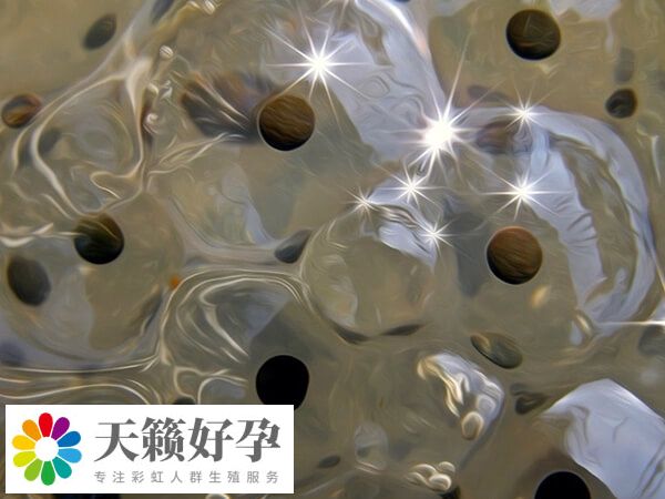 四代試管嬰兒技術(shù)又稱卵胞質(zhì)置換技術(shù)GVT