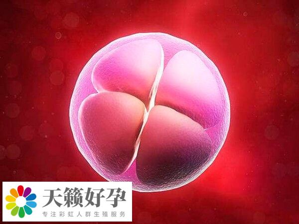 Les群體其實就是指女同性戀