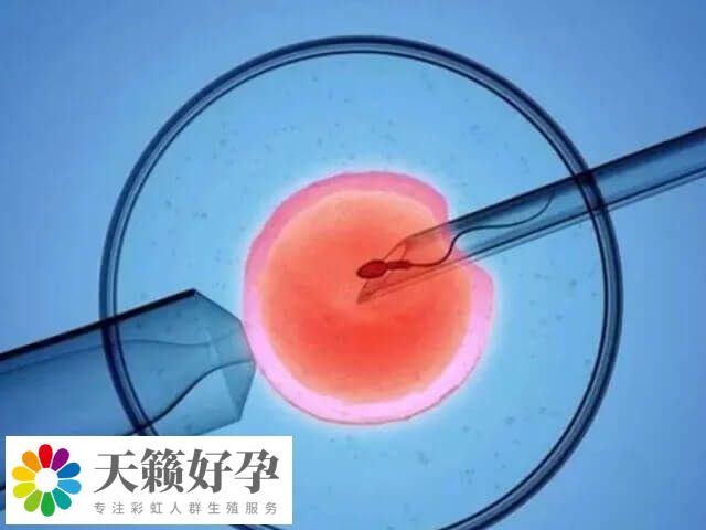 單性別生育的設(shè)想不能應(yīng)用于臨床