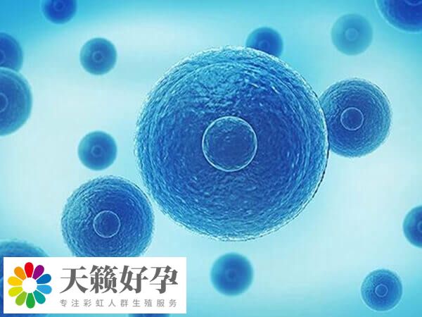 糖尿病人做試管嬰兒費用與其他患者基本一致