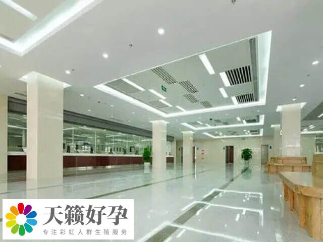 試管能移植兩個懷雙胞胎