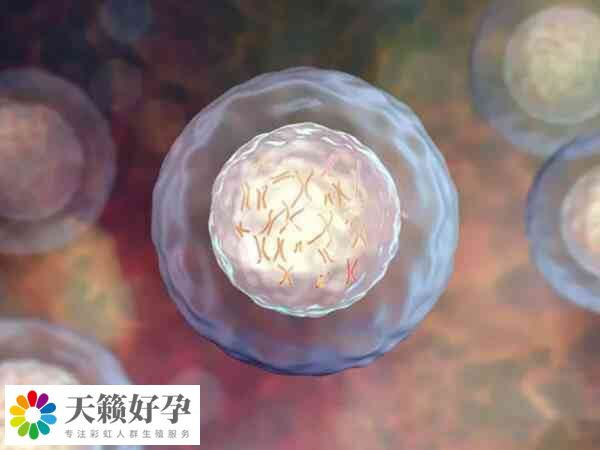 高齡做試管移植要保持良好的心態